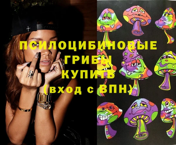 СК Краснослободск