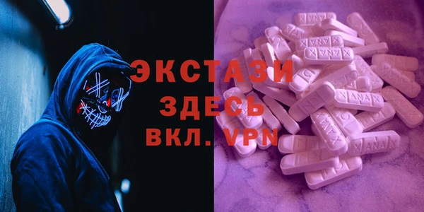 СК Краснослободск